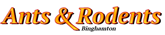 Binghamton Ant Exterminator & Rodent Control Company Logo